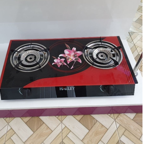 GAZ PANEL IMMER 301 INOX