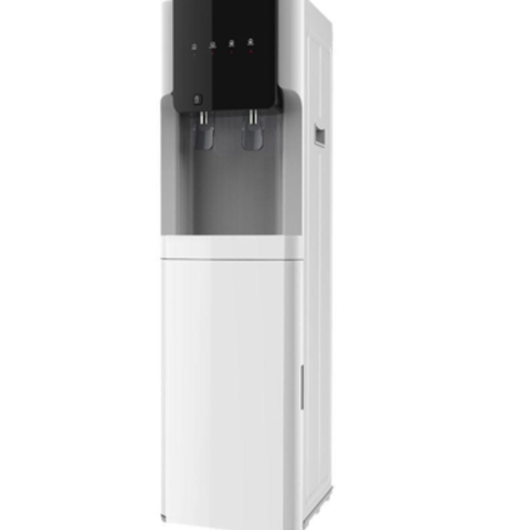 HAVO TOZALAGICH HOFMANN